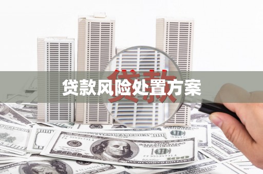 六甲贷款风险处置方案