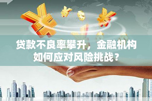 六甲贷款不良率攀升，金融机构如何应对风险挑战？