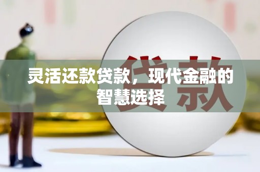 六甲灵活还款贷款，现代金融的智慧选择