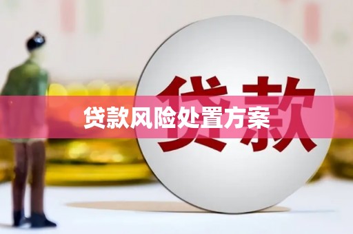 六甲贷款风险处置方案