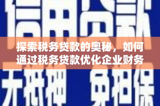 六甲探索税务贷款的奥秘，如何通过税务贷款优化企业财务