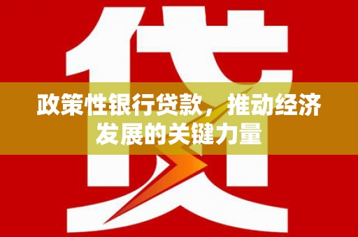 六甲政策性银行贷款，推动经济发展的关键力量
