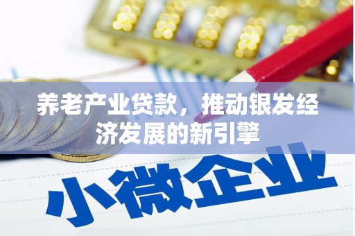 六甲养老产业贷款，推动银发经济发展的新引擎