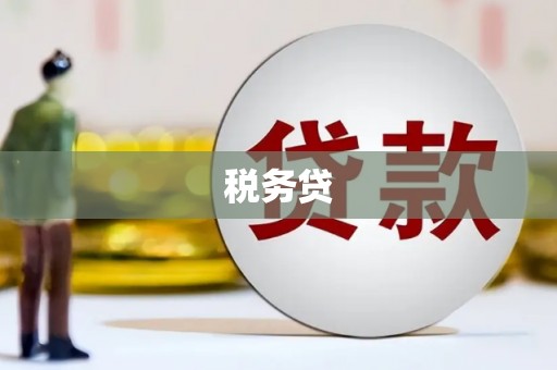 六甲税务贷