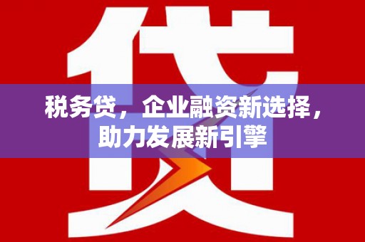六甲税务贷，企业融资新选择，助力发展新引擎