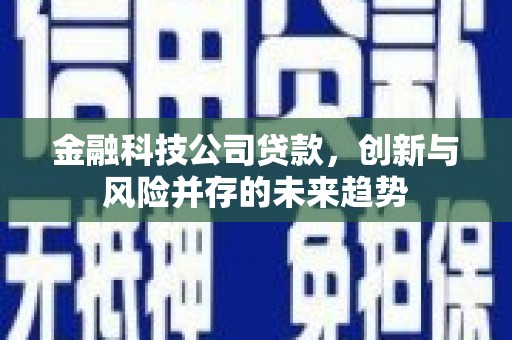 六甲金融科技公司贷款，创新与风险并存的未来趋势