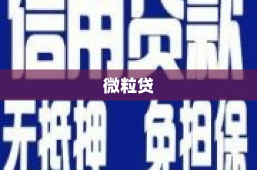 六甲微粒贷