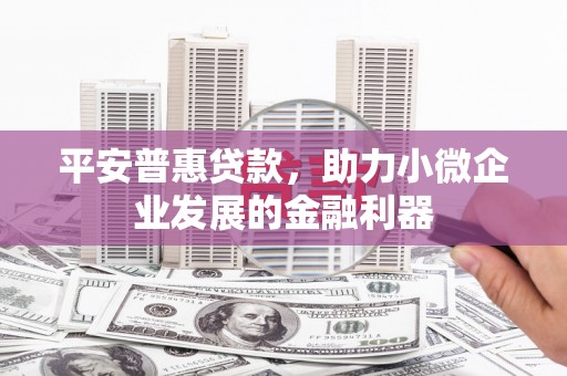 六甲平安普惠贷款，助力小微企业发展的金融利器
