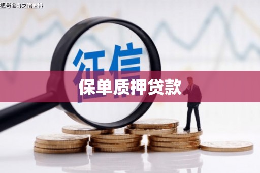 六甲保单质押贷款