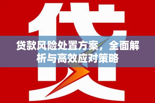 六甲贷款风险处置方案，全面解析与高效应对策略