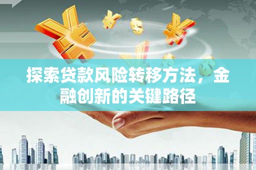六甲探索贷款风险转移方法，金融创新的关键路径