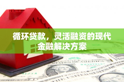 六甲循环贷款，灵活融资的现代金融解决方案