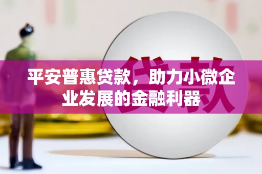 六甲平安普惠贷款，助力小微企业发展的金融利器