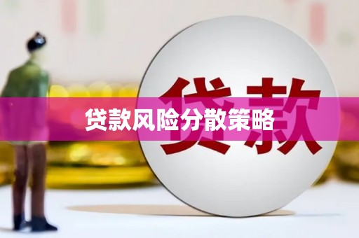 六甲贷款风险分散策略