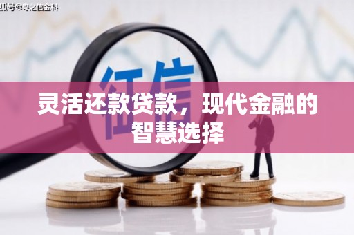 六甲灵活还款贷款，现代金融的智慧选择