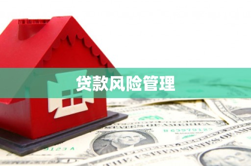 六甲贷款风险管理
