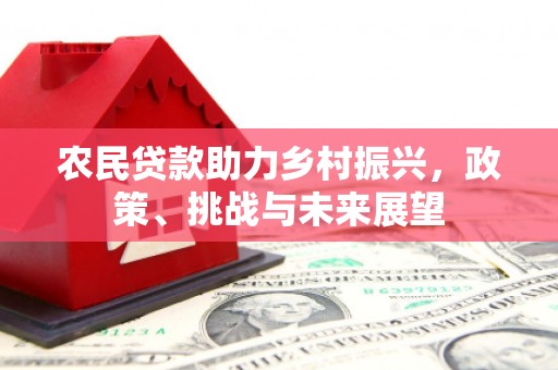 六甲农民贷款助力乡村振兴，政策、挑战与未来展望