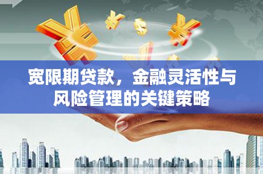 六甲宽限期贷款，金融灵活性与风险管理的关键策略