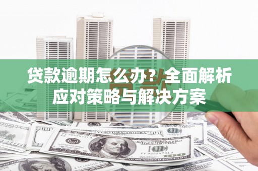 六甲贷款逾期怎么办？全面解析应对策略与解决方案