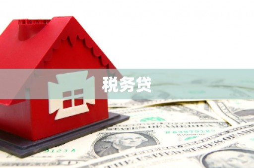六甲税务贷