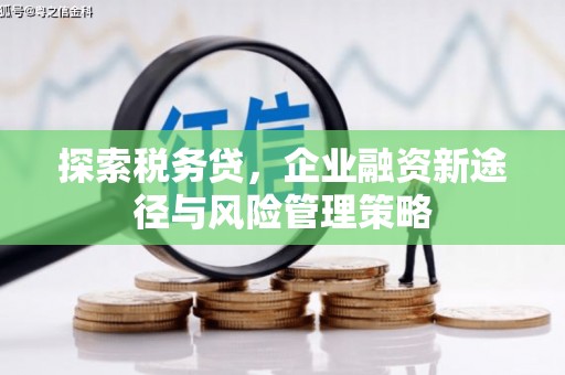 六甲探索税务贷，企业融资新途径与风险管理策略
