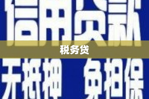 六甲税务贷