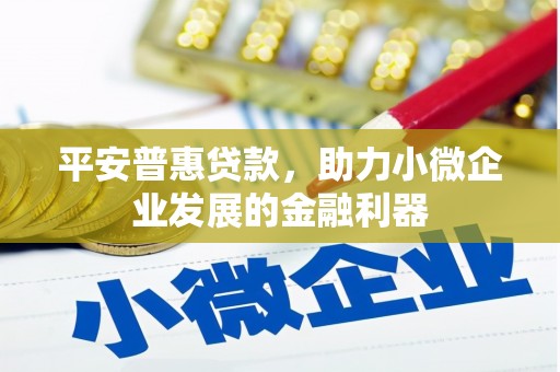 六甲平安普惠贷款，助力小微企业发展的金融利器