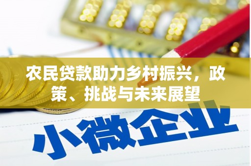 六甲农民贷款助力乡村振兴，政策、挑战与未来展望