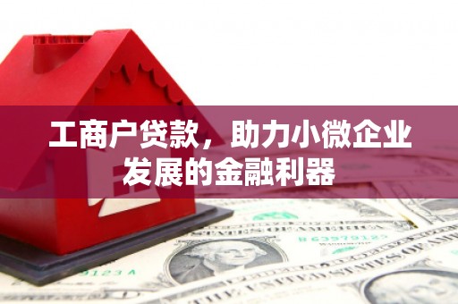 六甲工商户贷款，助力小微企业发展的金融利器