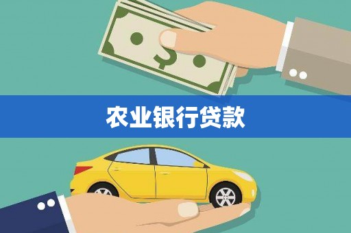 六甲农业银行贷款
