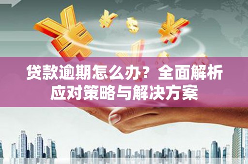 六甲贷款逾期怎么办？全面解析应对策略与解决方案