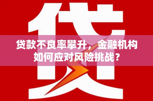六甲贷款不良率攀升，金融机构如何应对风险挑战？