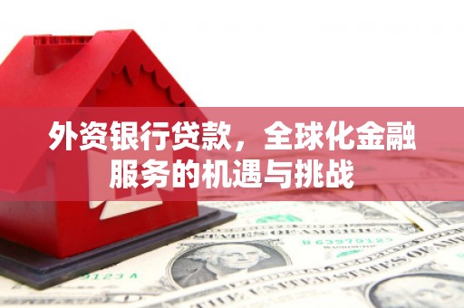六甲外资银行贷款，全球化金融服务的机遇与挑战