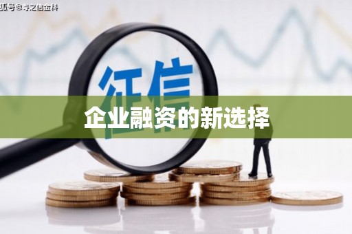 六甲企业融资的新选择
