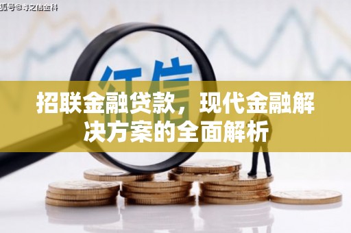 六甲招联金融贷款，现代金融解决方案的全面解析