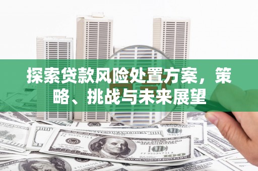 六甲探索贷款风险处置方案，策略、挑战与未来展望