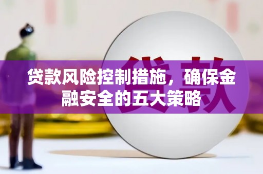 六甲贷款风险控制措施，确保金融安全的五大策略