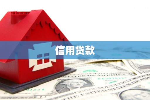 六甲信用贷款