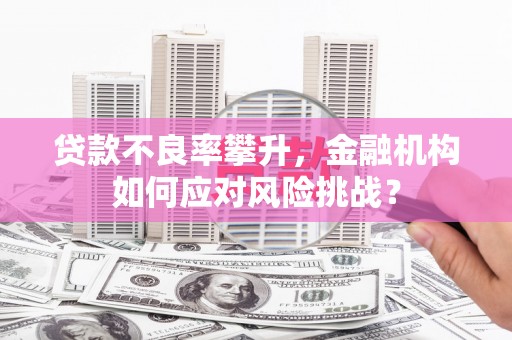 六甲贷款不良率攀升，金融机构如何应对风险挑战？