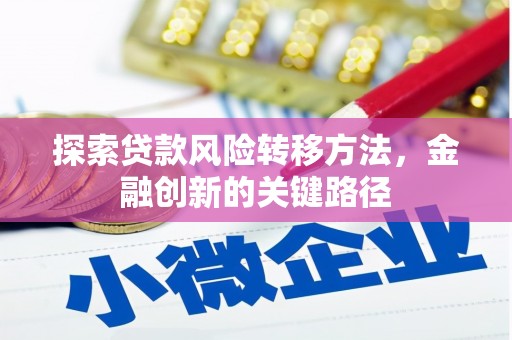 六甲探索贷款风险转移方法，金融创新的关键路径