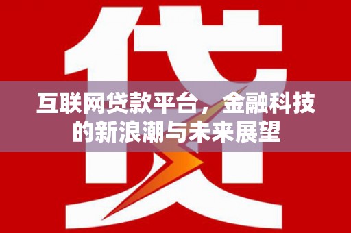 六甲互联网贷款平台，金融科技的新浪潮与未来展望