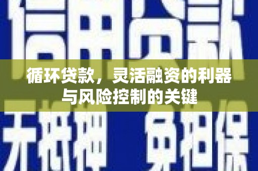 六甲循环贷款，灵活融资的利器与风险控制的关键