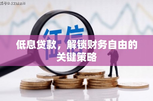 六甲低息贷款，解锁财务自由的关键策略