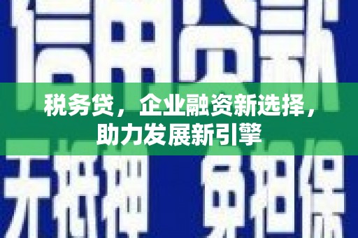 六甲税务贷，企业融资新选择，助力发展新引擎