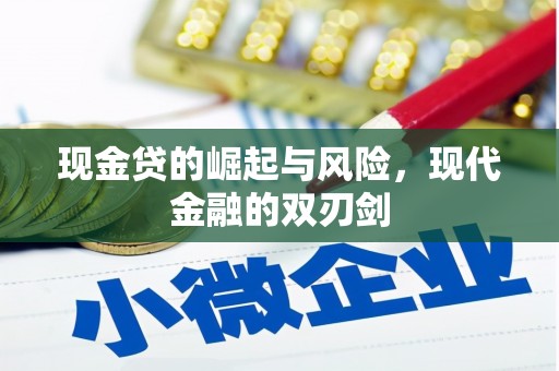 六甲现金贷的崛起与风险，现代金融的双刃剑