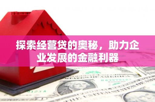 六甲探索经营贷的奥秘，助力企业发展的金融利器