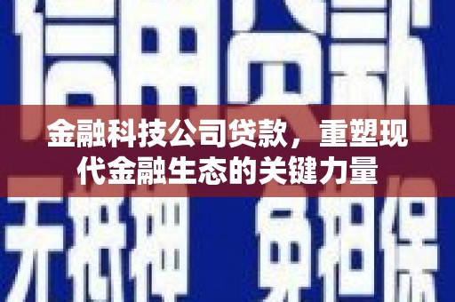 六甲金融科技公司贷款，重塑现代金融生态的关键力量