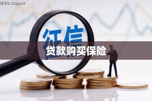 六甲贷款购买保险
