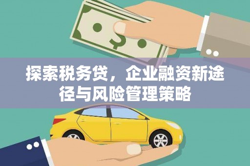 六甲探索税务贷，企业融资新途径与风险管理策略