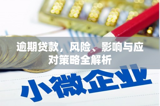 六甲逾期贷款，风险、影响与应对策略全解析